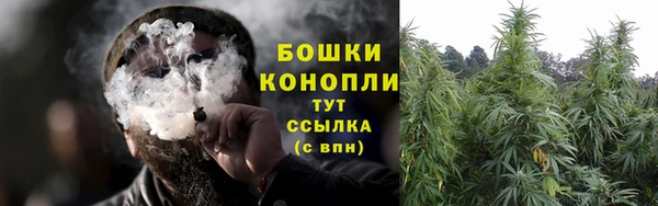 крисы Богданович