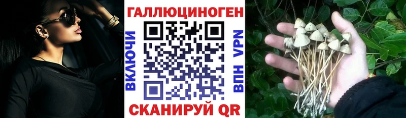 купить наркотики сайты  Калуга  blacksprut tor  Псилоцибиновые грибы Magic Shrooms 
